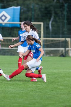 Bild 285 - wBJ Hamburger SV - Holstein Kiel : Ergebnis: 2:0